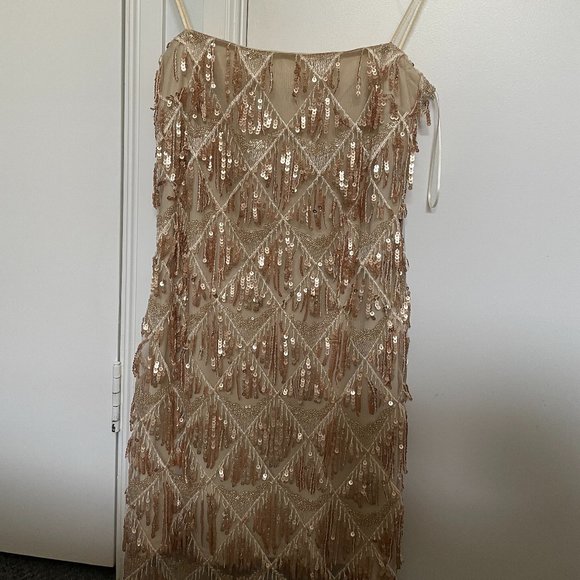 Showpo Dresses & Skirts - Showpo shook dress
